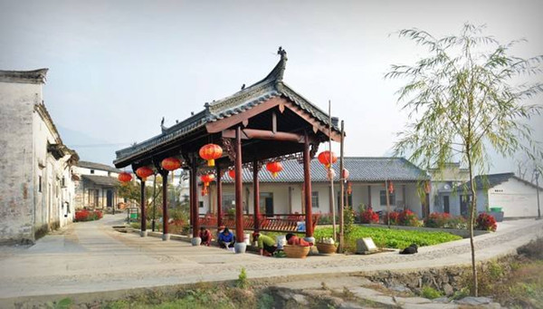 石台县富硒野茶