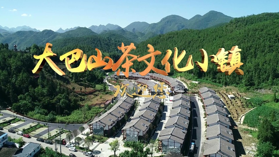 万源富硒茶荣誉