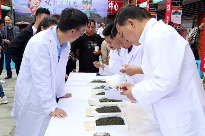 金荣牌富硒贡茶