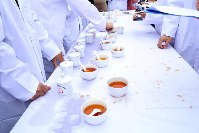 金荣牌富硒贡茶