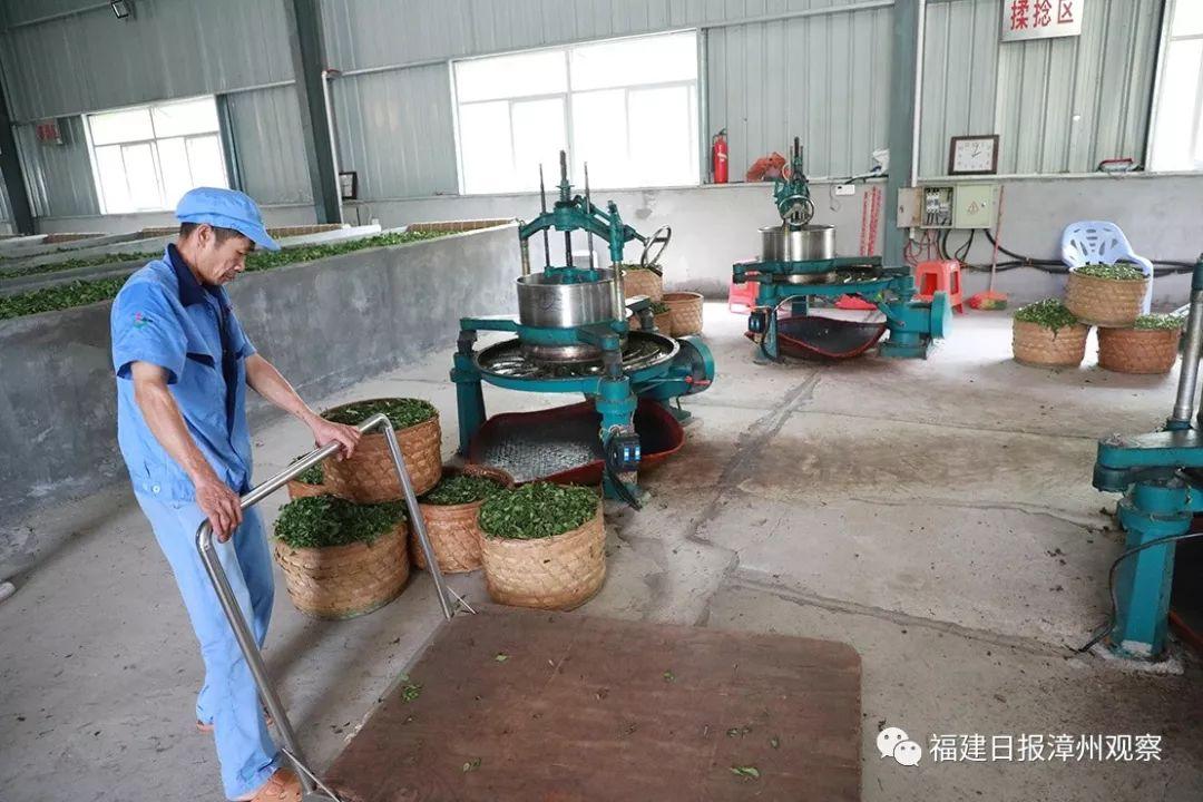 何为富硒八仙茶