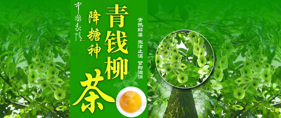 中茶富硒青钱柳