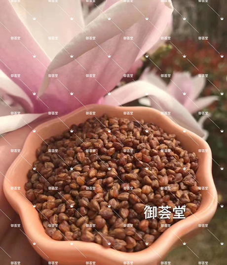 富硒黑苦荞茶有毒吗徐州贾汪包邮