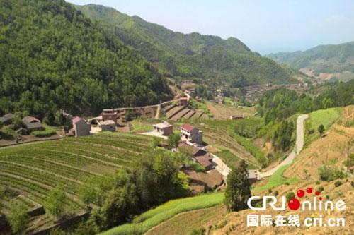 京康富硒茶百度