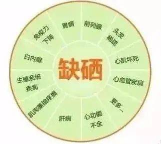 富硒大米富硒油