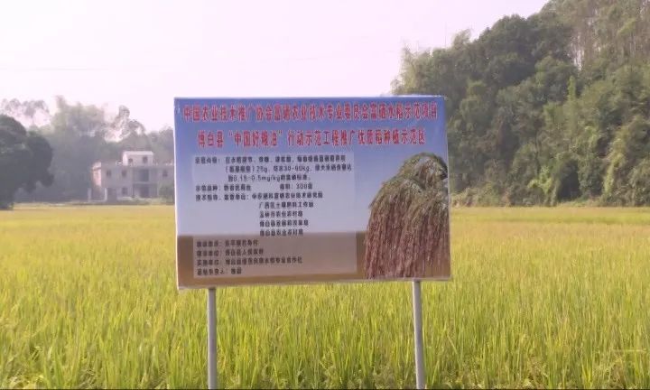 耕富稻富硒大米