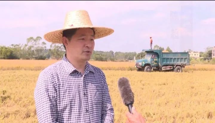耕富稻富硒大米