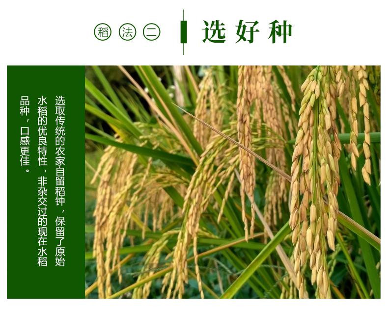 富硒大米 英文