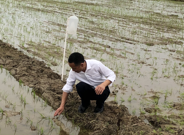 福粮源富硒大米