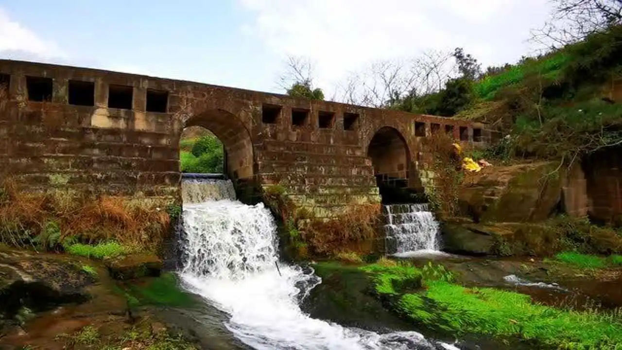 古河道富硒大米