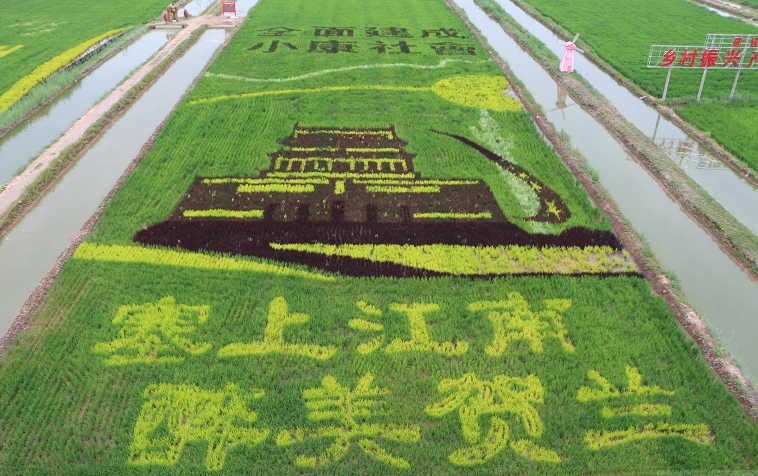 富硒大米 昊帅
