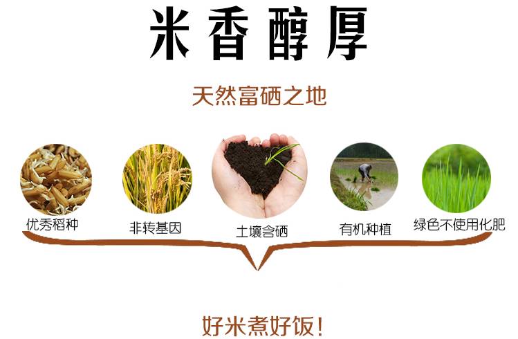 富硒高蛋白大米
