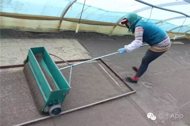 哪种富硒大米好