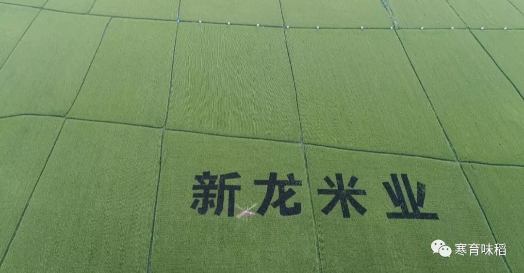 富硒大米很吃水