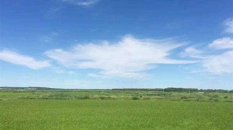 海伦产富硒大米