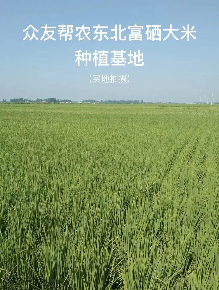 富硒哪家大米好