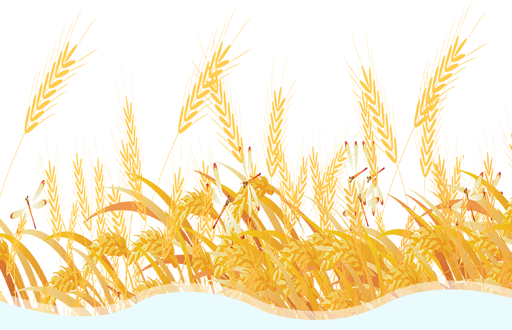 辽宁富硒锌大米