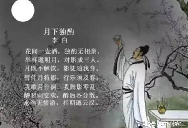 产妇吃富硒大米