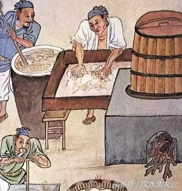 产妇吃富硒大米
