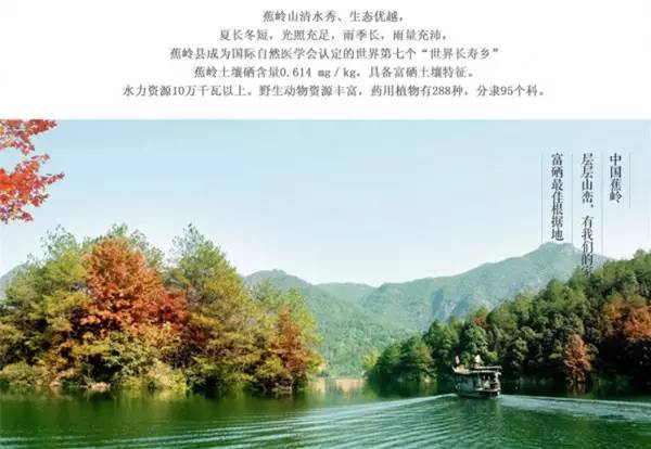 富硒大米蒸米饭