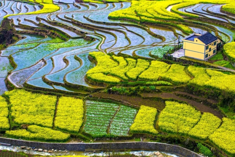 l龙潭富硒大米