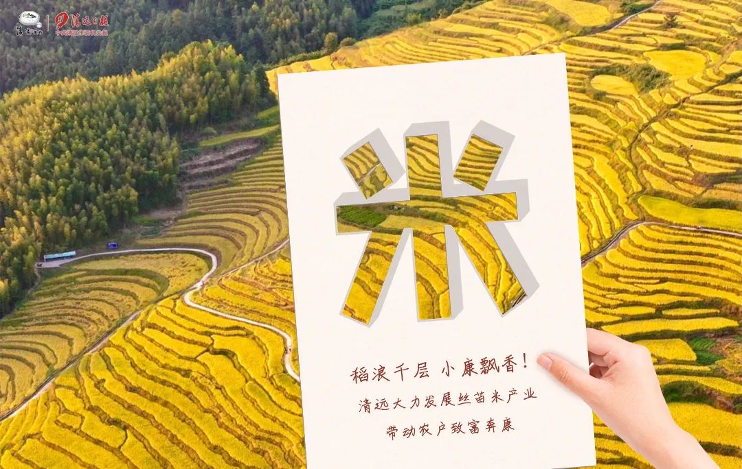 瓦里乡富硒大米