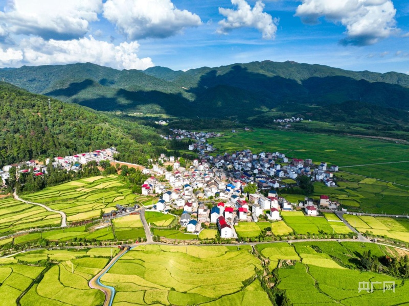 富硒大米血红色