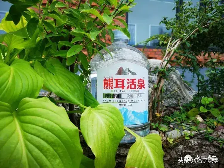 西子湖富硒大米