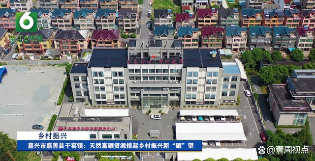 吴家镇富硒大米