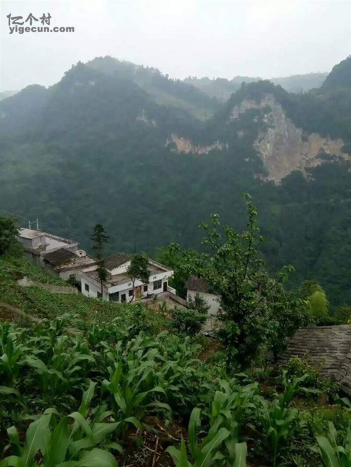 双阳区富硒大米