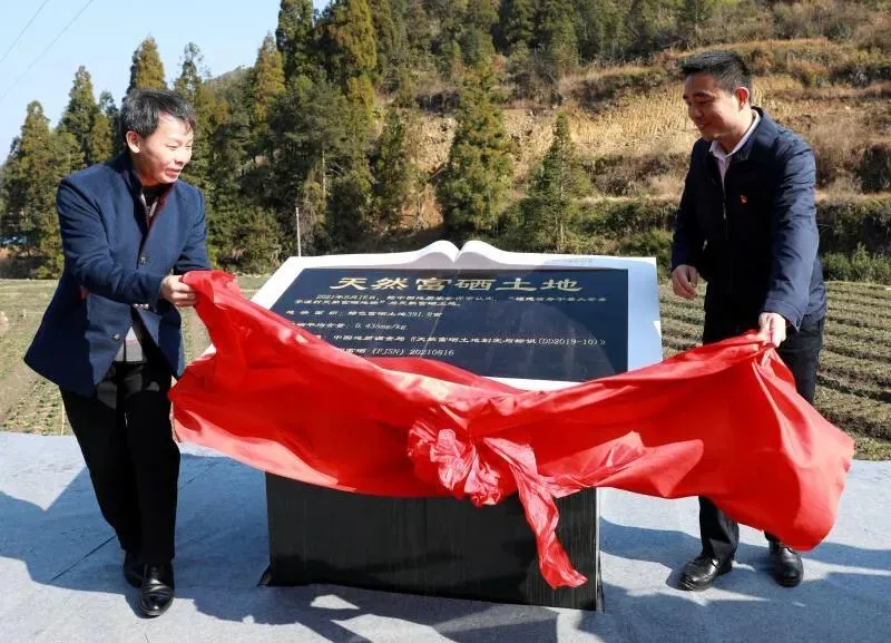 旬阳县富硒大米