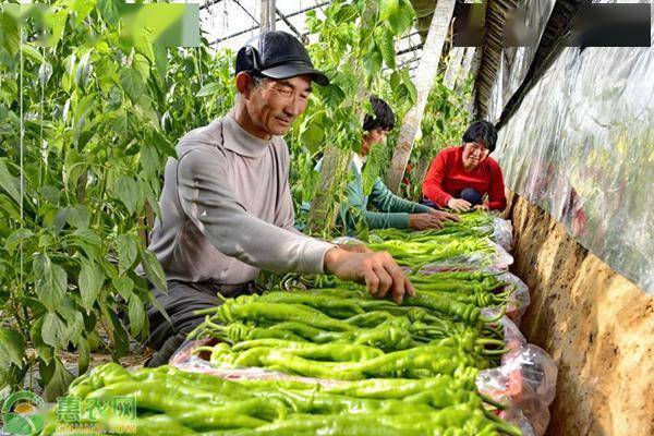 富硒大米发布会