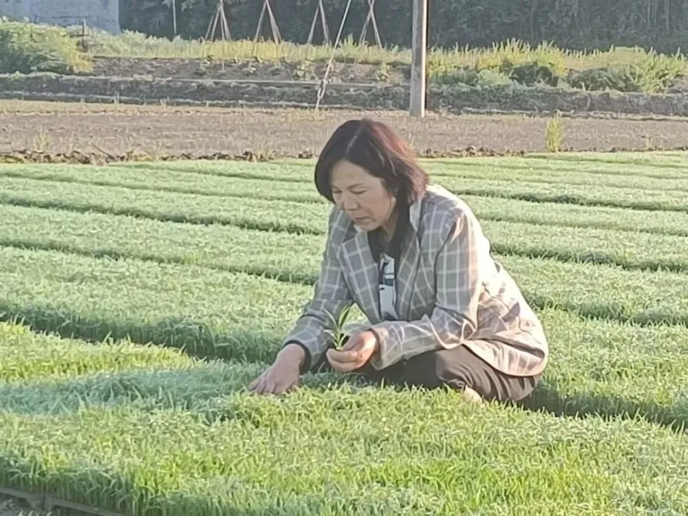 溪边禾富硒大米