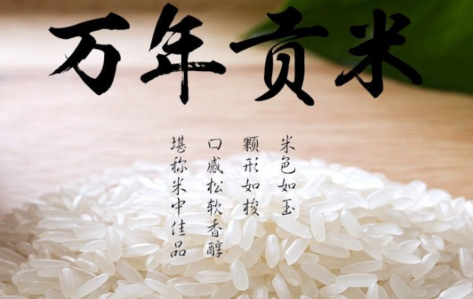 富硒大米亩产量