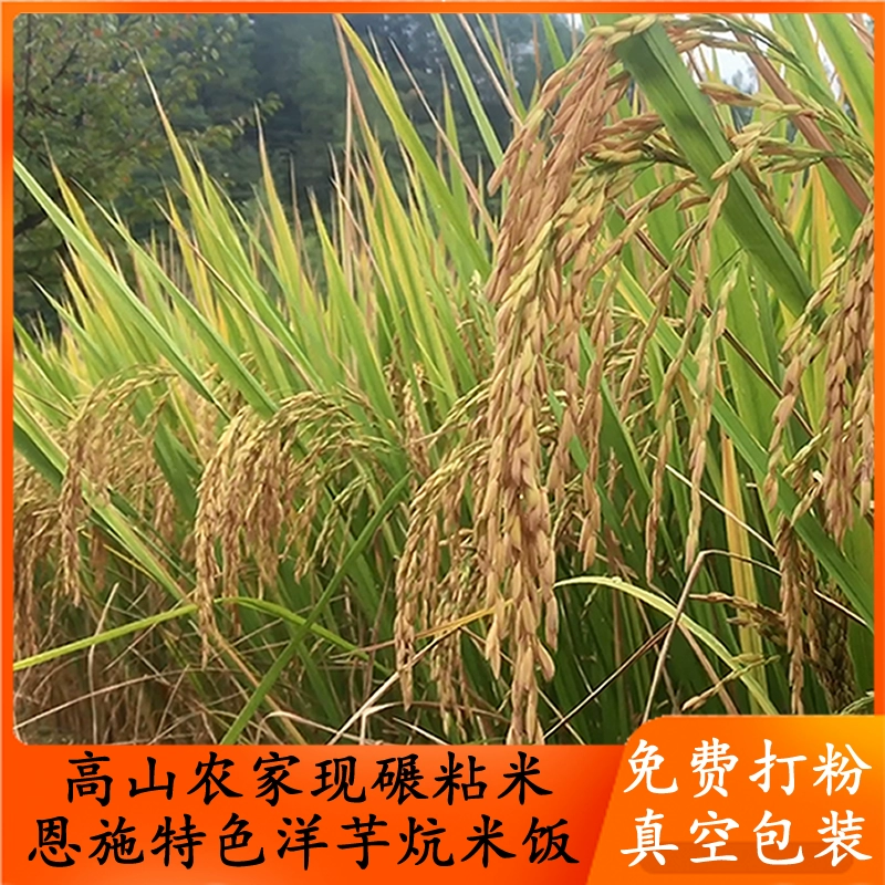 富硒大米技术部