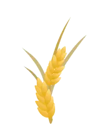 建三江富硒大米
