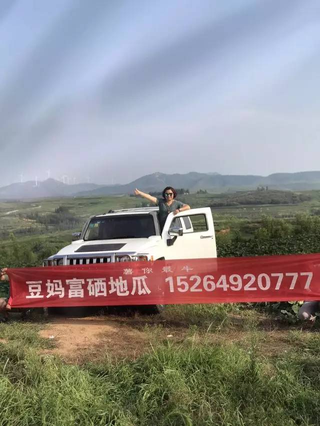 富硒地瓜如何吃