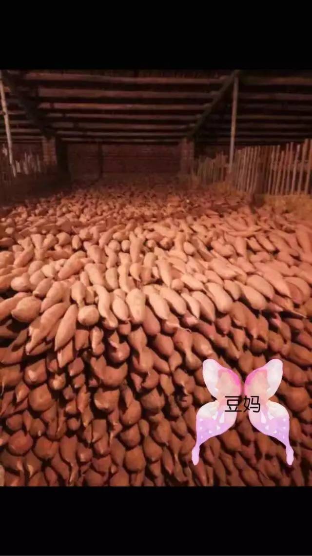 富硒地瓜如何吃