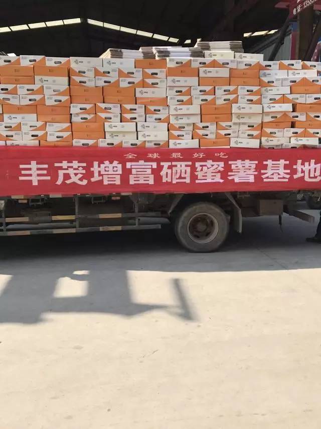富硒地瓜如何吃