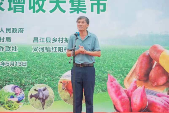 海南富硒地瓜节