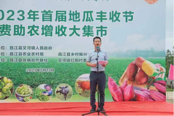 海南富硒地瓜节