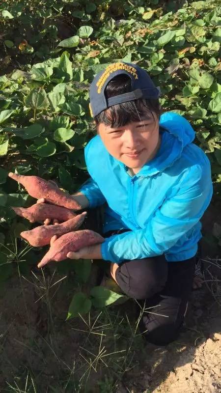 富硒地瓜的由来