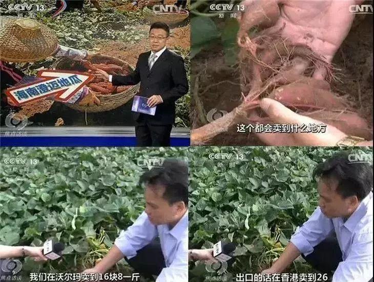 富硒地瓜有点苦