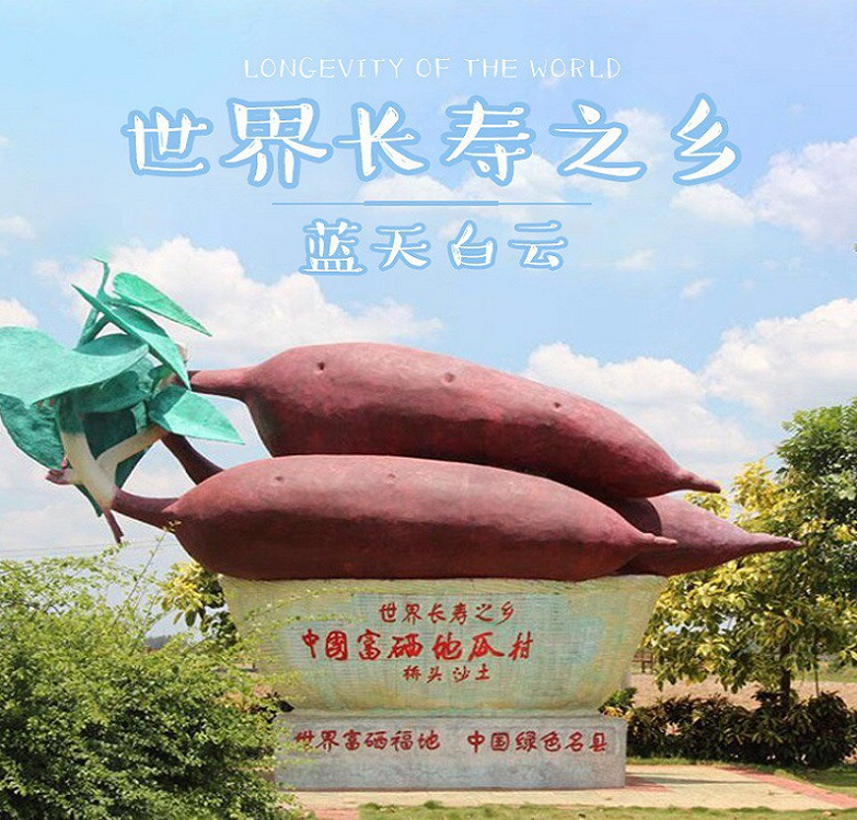 富硒地瓜有点苦