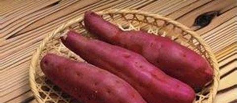 富硒地瓜补血吗