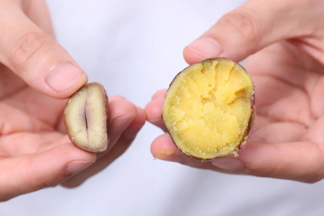 富硒地瓜蛋直播