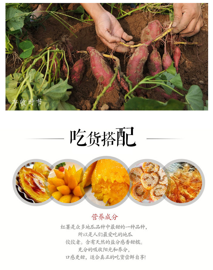 梨花园富硒地瓜