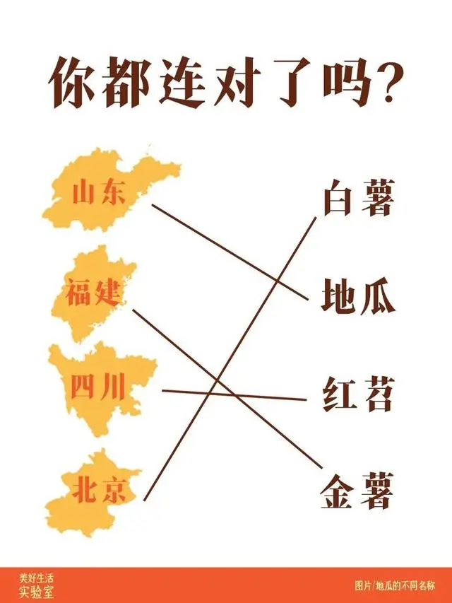 富硒地瓜干代理