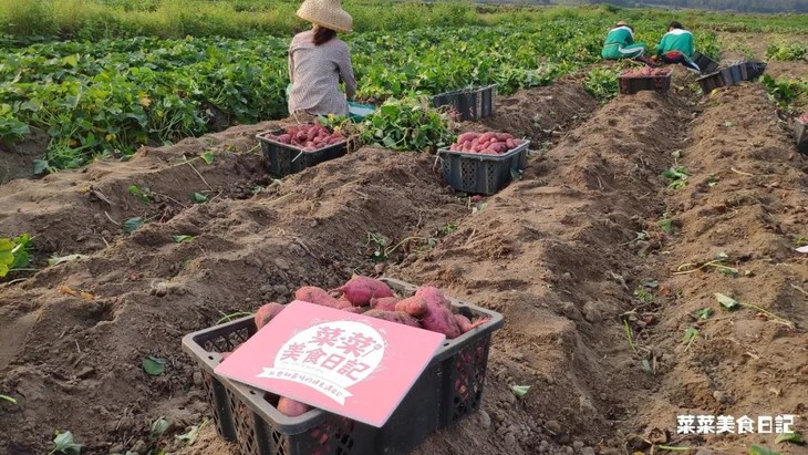 富硒地瓜好卖吗