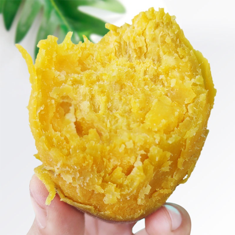 正宗板栗红薯新鲜番薯地瓜红薯蔬菜新鲜黄心红薯 山芋